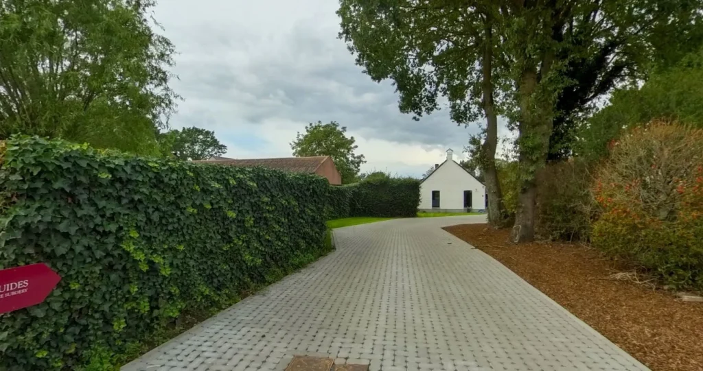 Equides – Désirée Aerts Equine Surgery – 3D Virtuele Tour